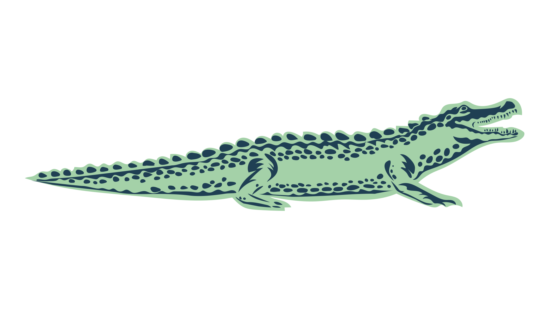 Alligator Digital – Meu site